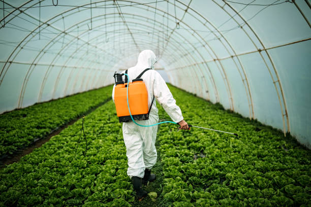 Best Best Pest Control Companies  in Corona De Tucson, AZ