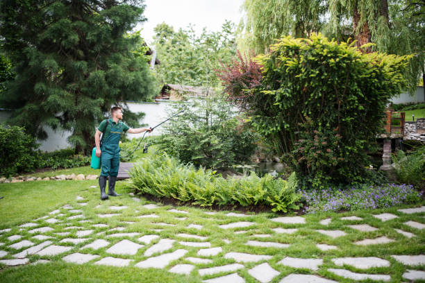 Pest Control Cost in Corona De Tucson, AZ