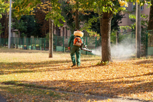 Best Cockroach Control Services  in Corona De Tucson, AZ