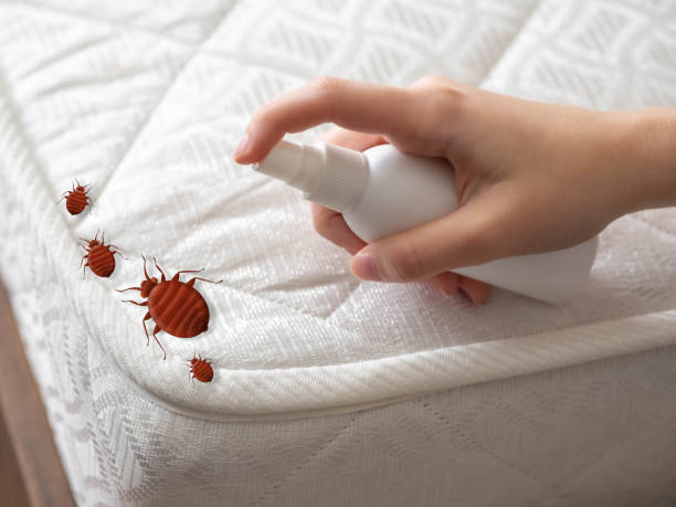 Best Commercial Pest Control Services  in Corona De Tucson, AZ